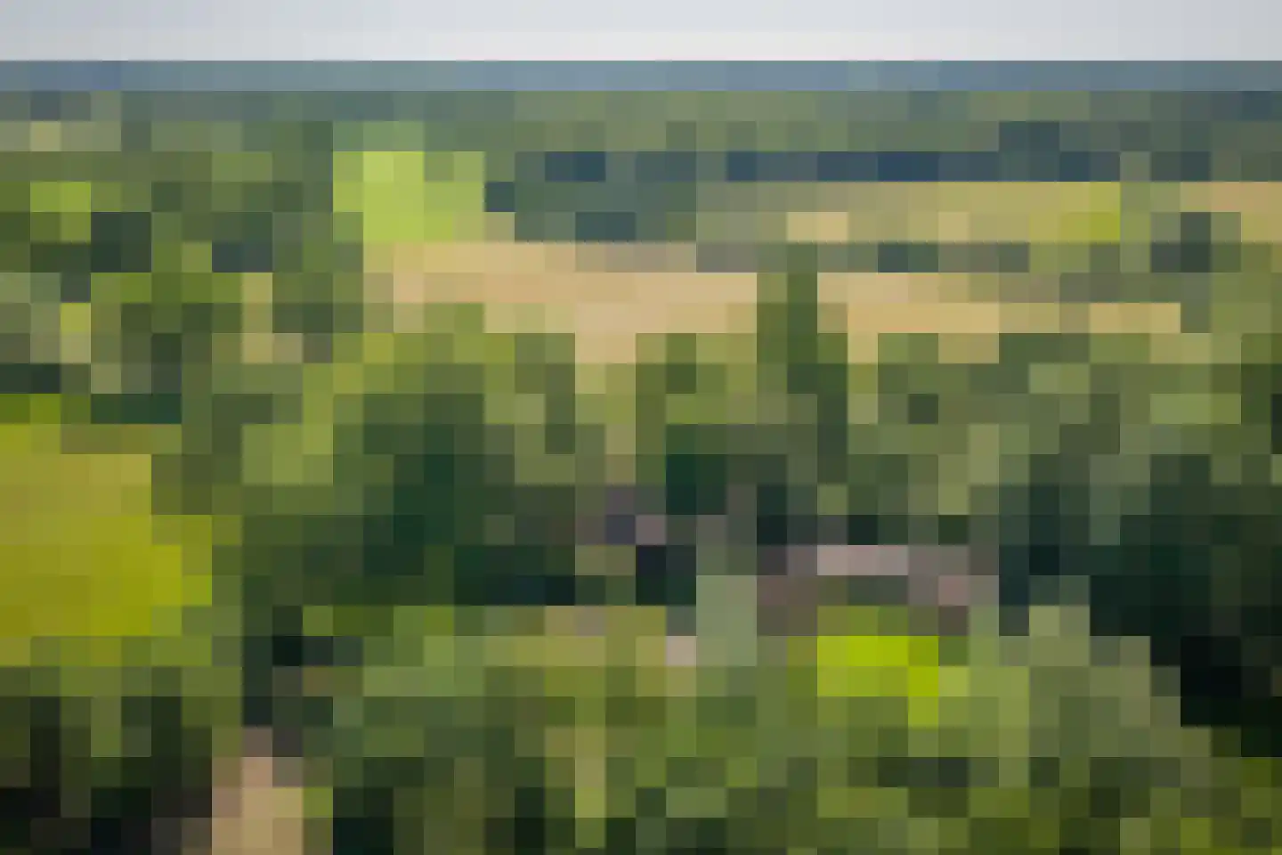 Flierdijk 6 Barchem thumbnail 6
