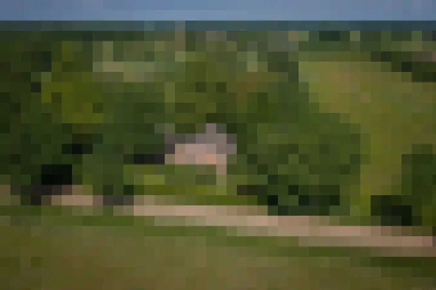 Flierdijk 6 Barchem thumbnail 7