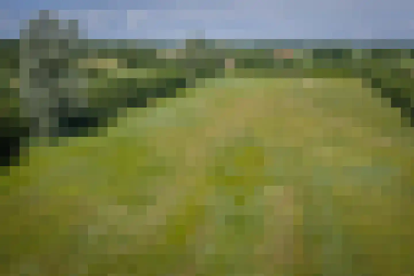 Flierdijk 6 Barchem thumbnail 87