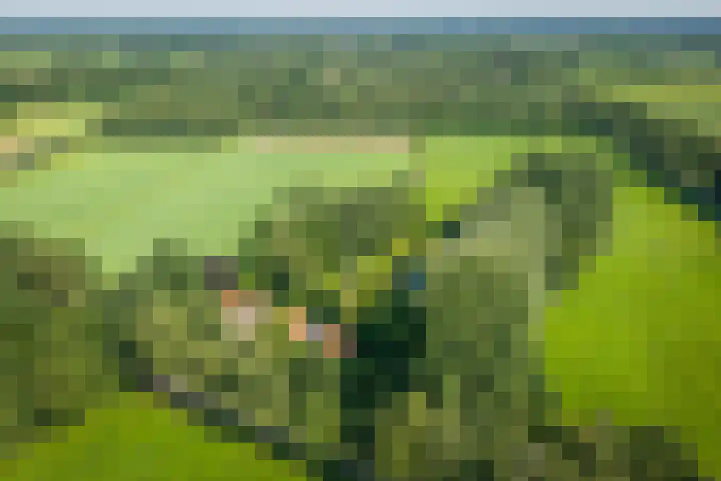 Flierdijk 7 Barchem thumbnail 13