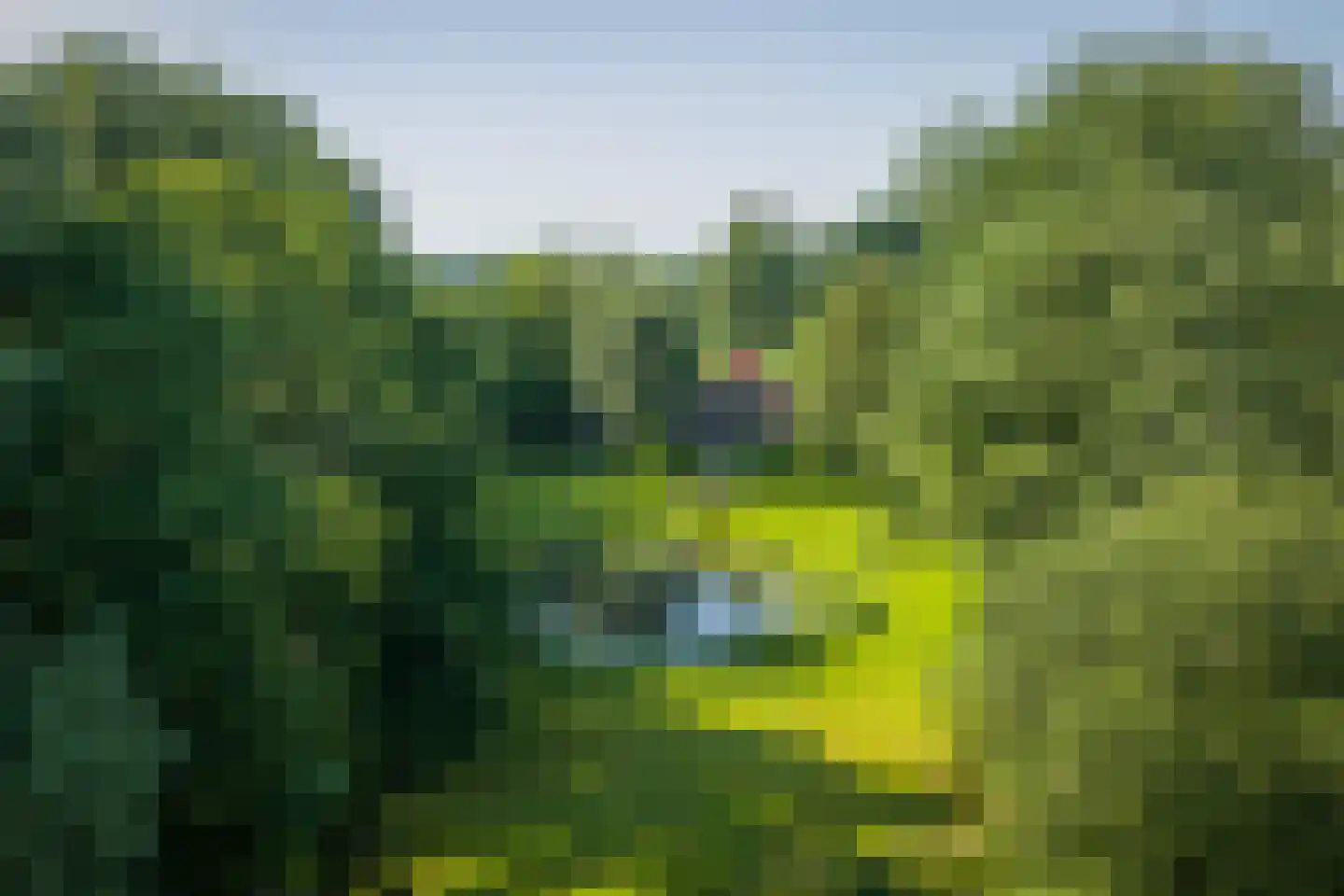 Flierdijk 7 Barchem thumbnail 17
