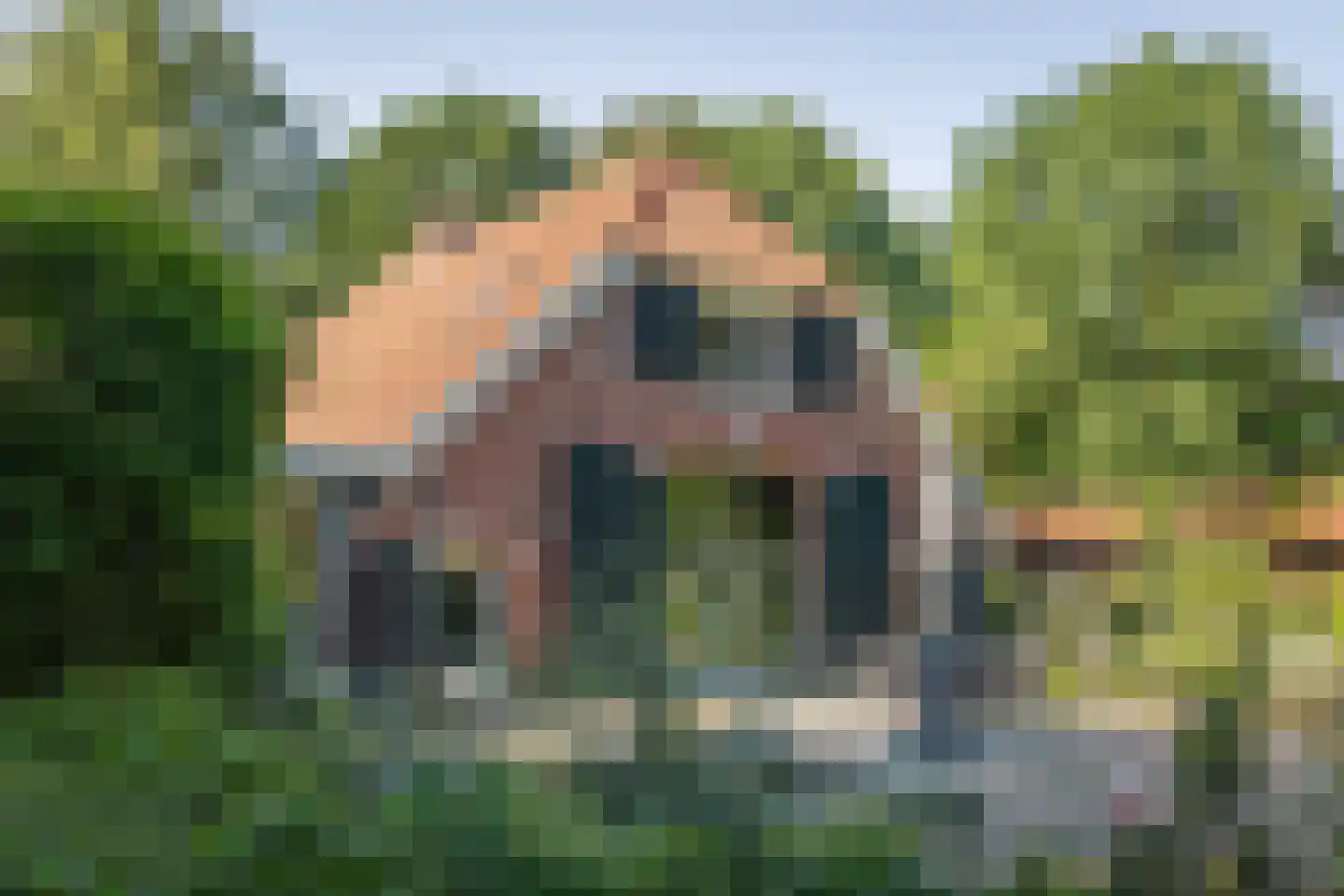 Flierdijk 7 Barchem thumbnail 22