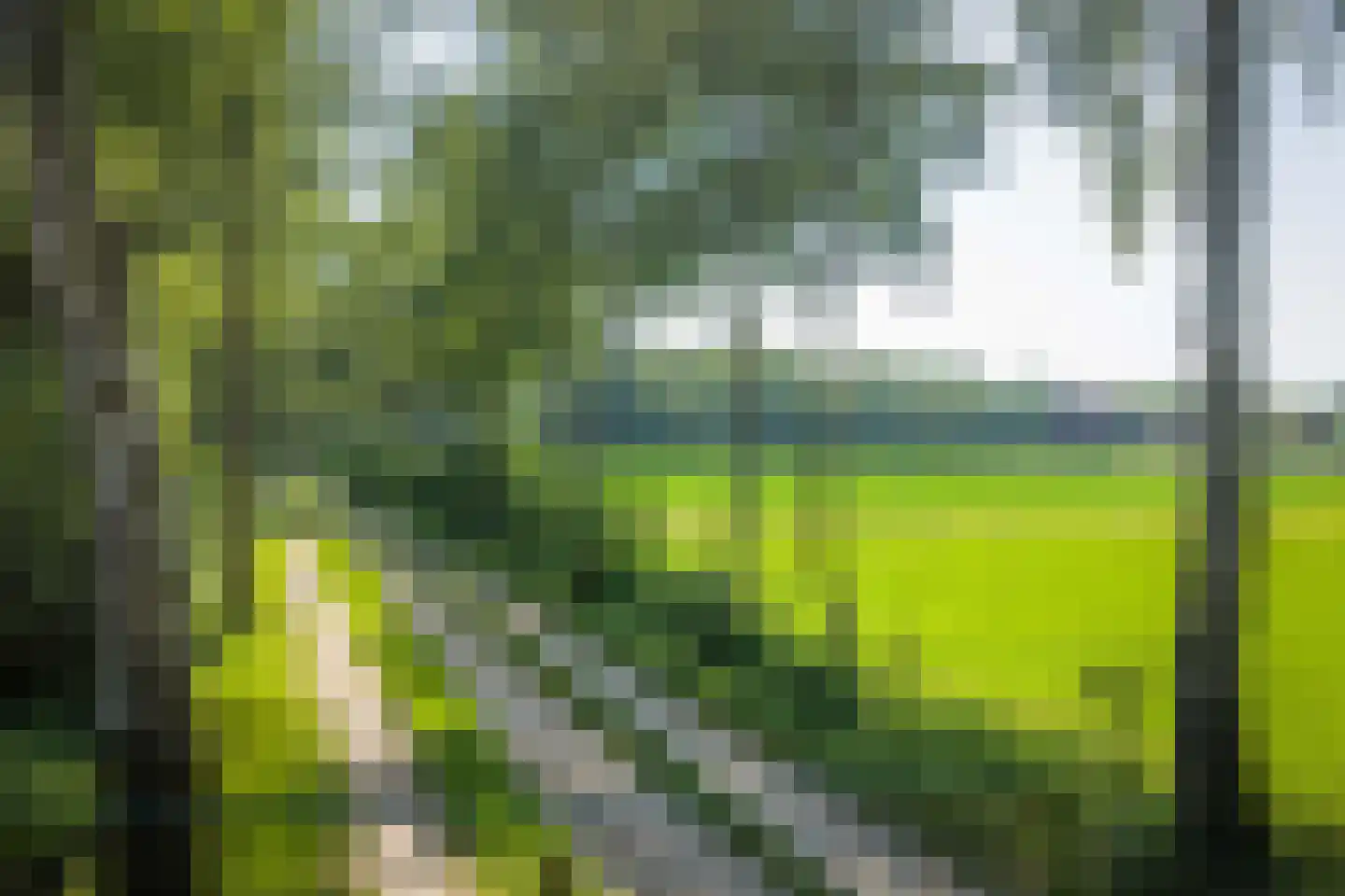Flierdijk 7 Barchem thumbnail 77