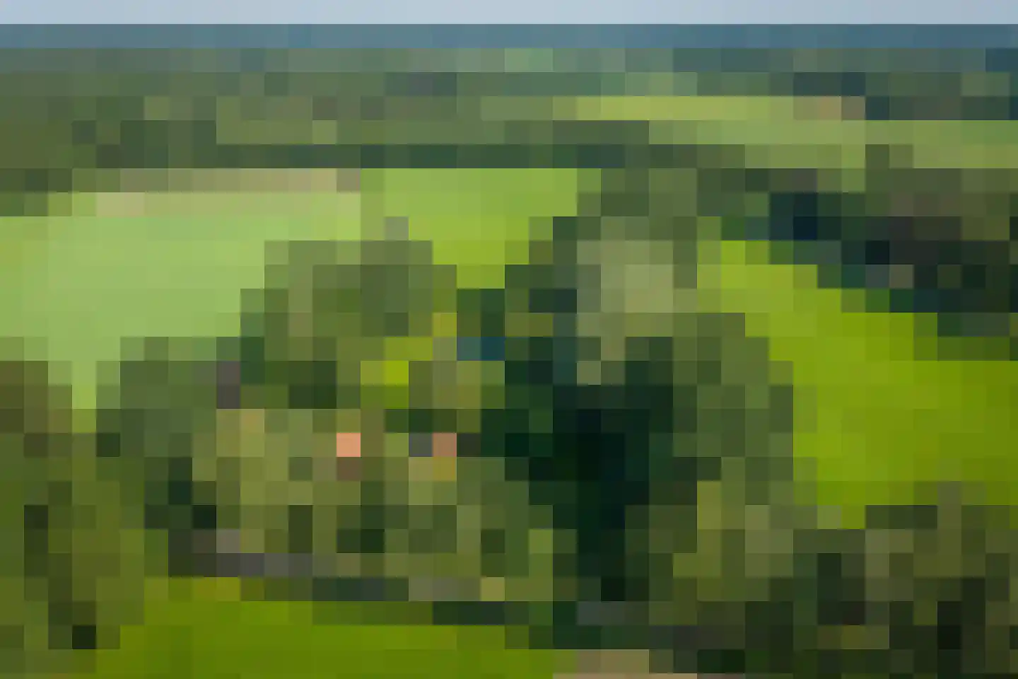 Flierdijk 7 Barchem thumbnail 78