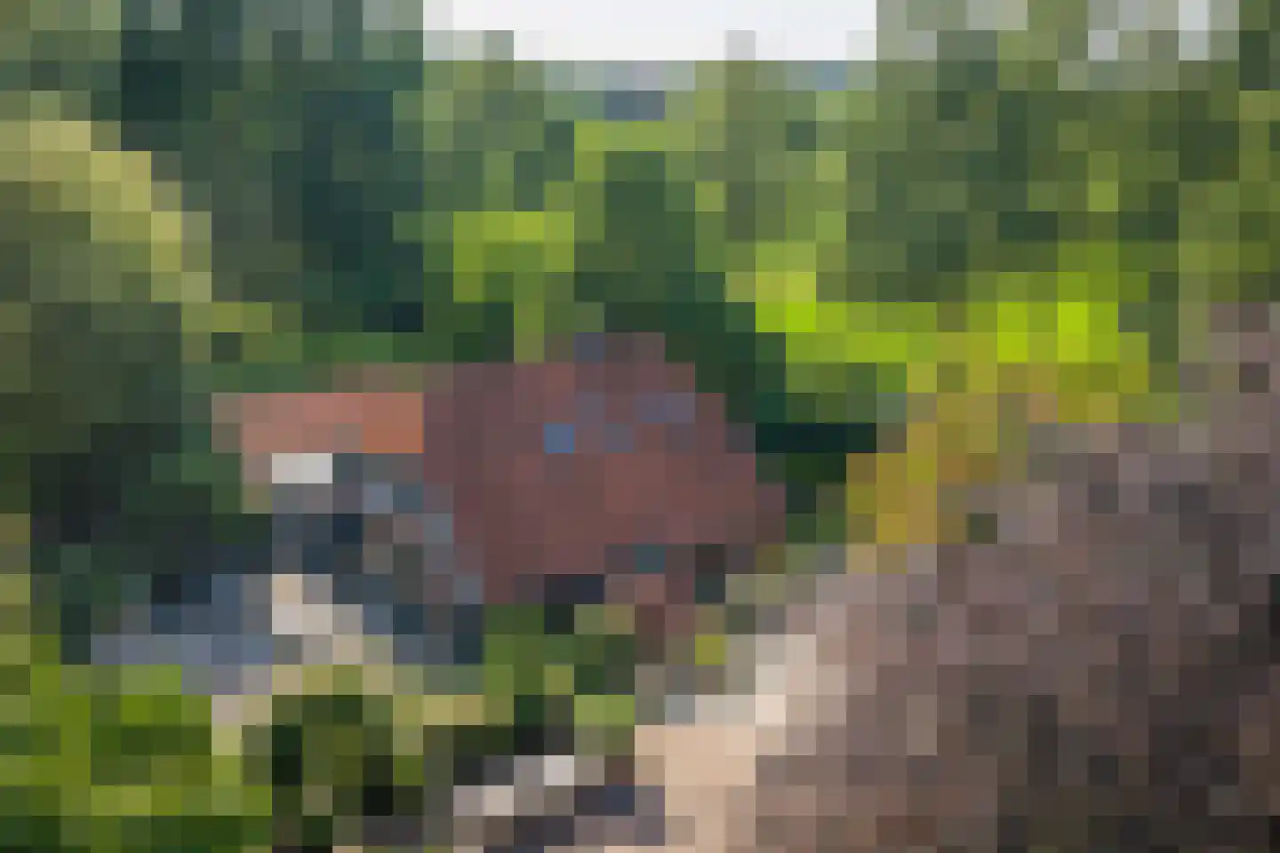 Flierdijk 7 Barchem thumbnail 8