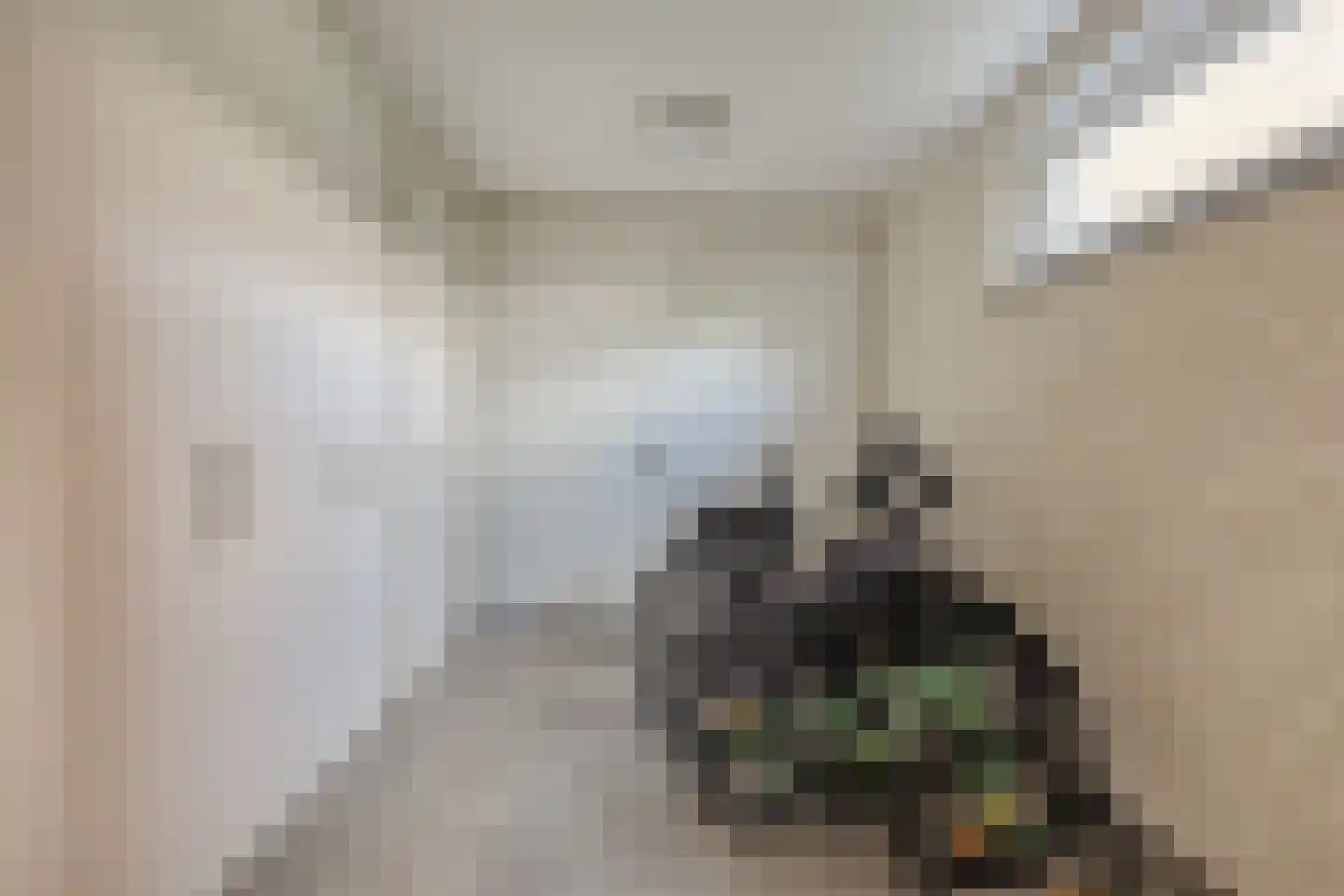 Fliere 21 Gemert thumbnail 16