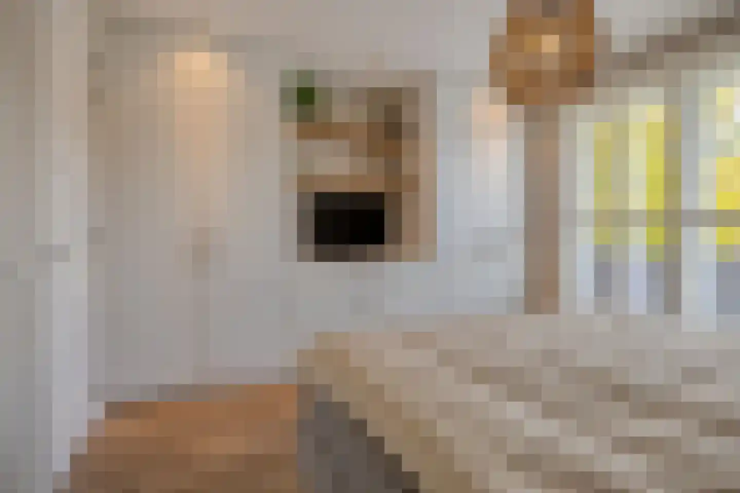 Fliere 21 Gemert thumbnail 20