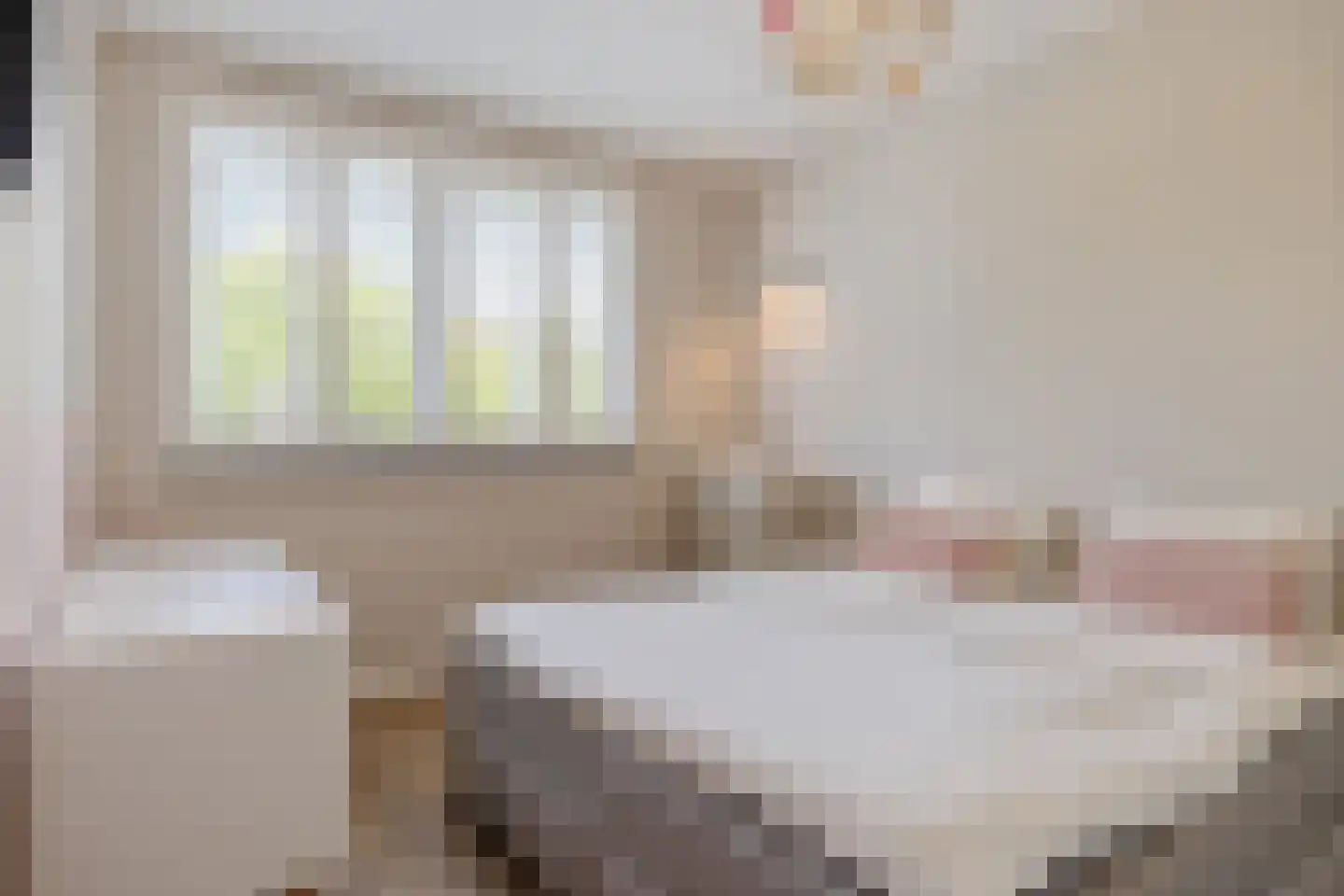 Fliere 21 Gemert thumbnail 22