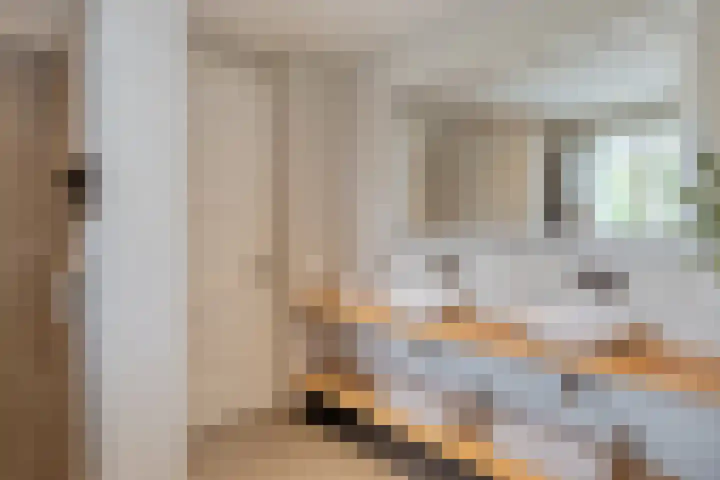 Fliere 21 Gemert thumbnail 27