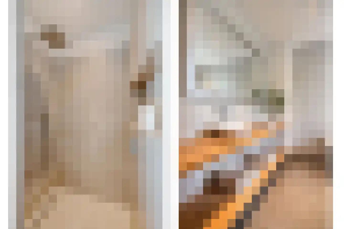 Fliere 21 Gemert thumbnail 28