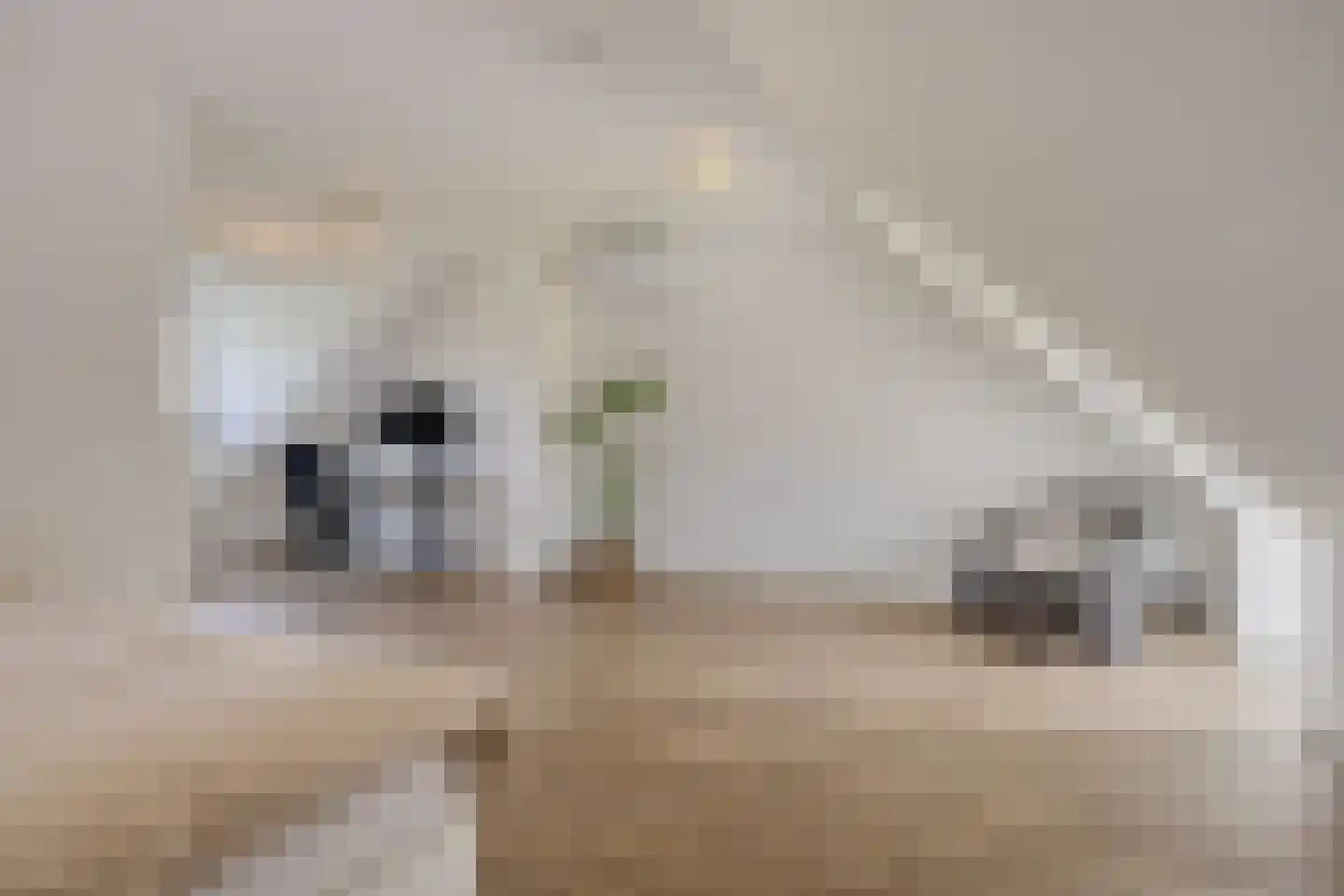 Fliere 21 Gemert thumbnail 32
