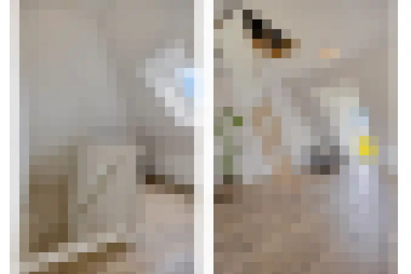 Fliere 21 Gemert thumbnail 34