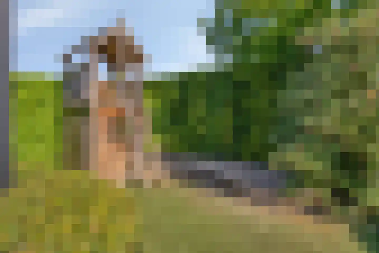 Fliere 21 Gemert thumbnail 38