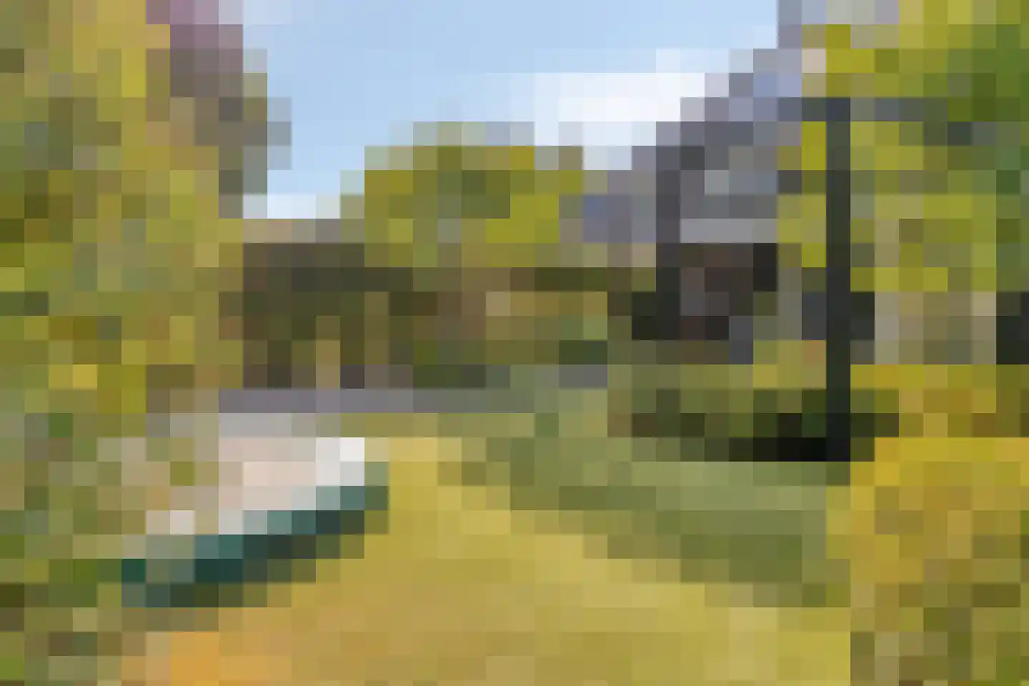 Fliere 21 Gemert thumbnail 39