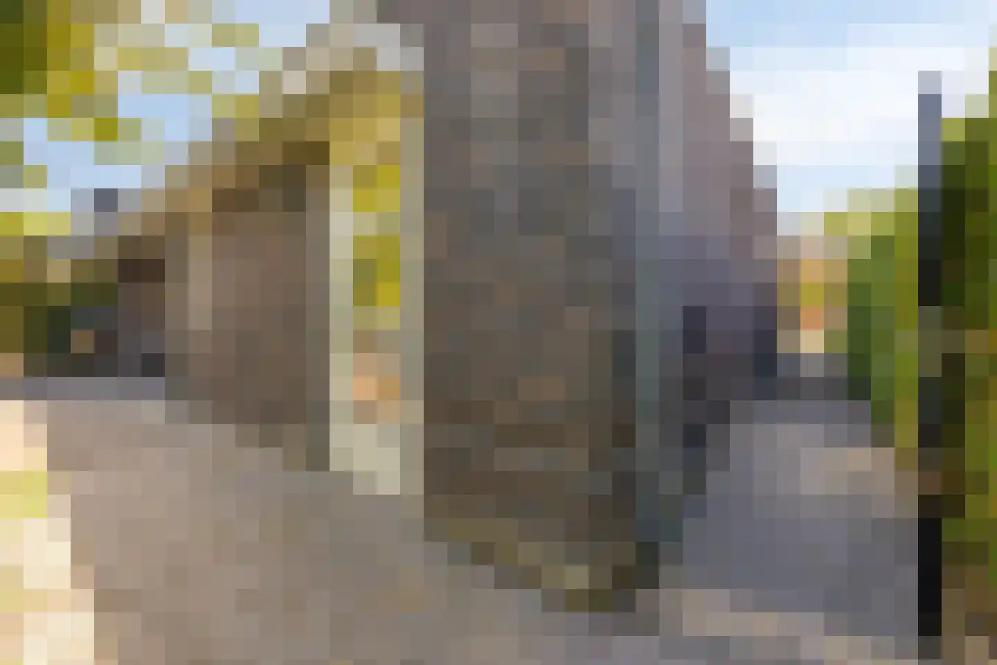 Fliere 21 Gemert thumbnail 40