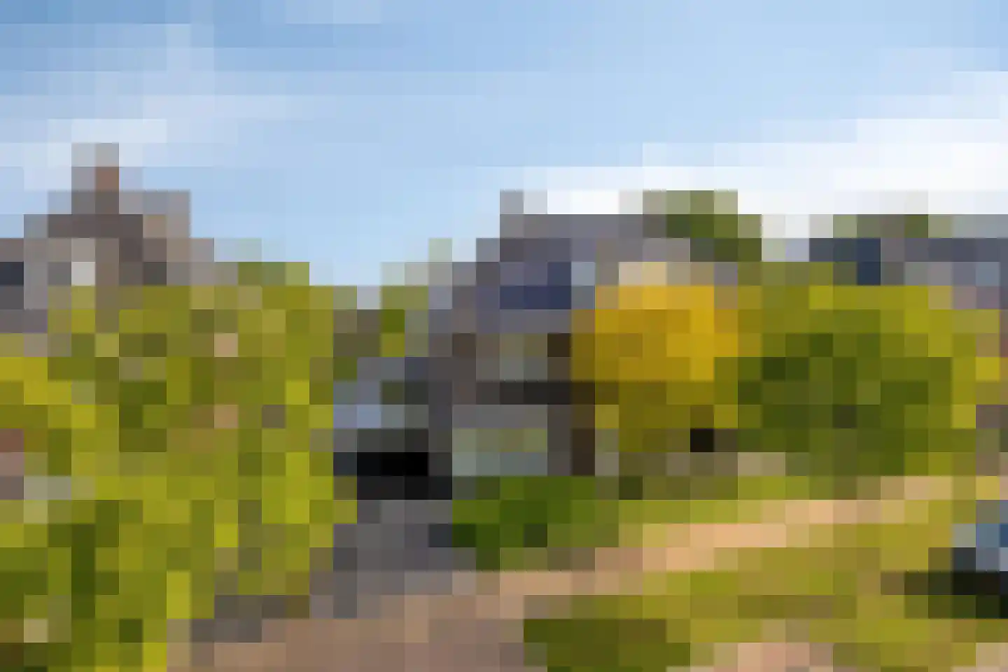 Fliere 21 Gemert thumbnail 42
