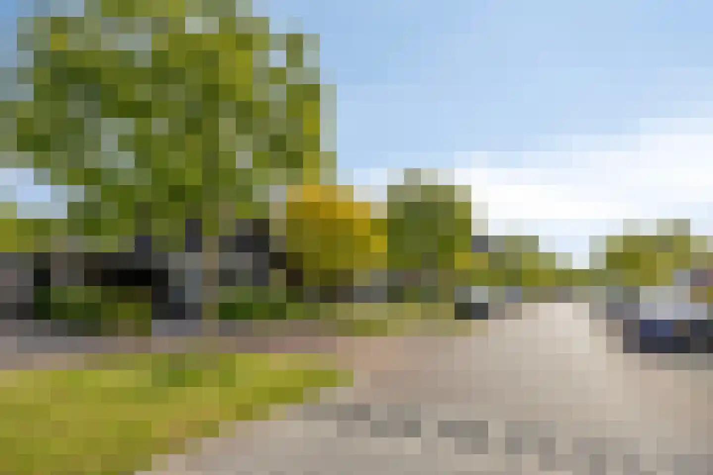 Fliere 21 Gemert thumbnail 43