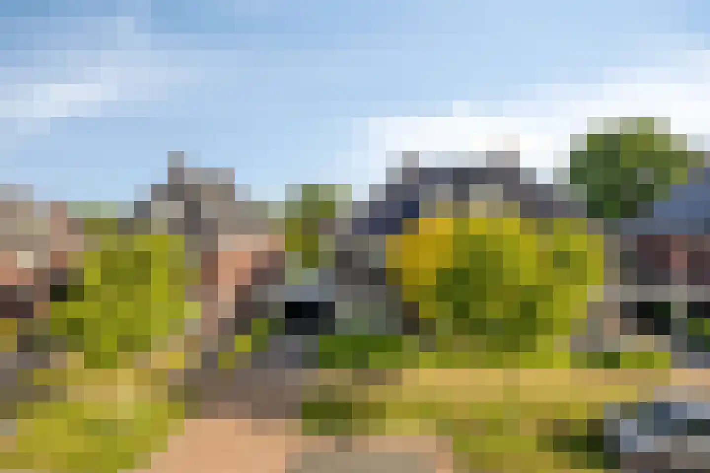 Fliere 21 Gemert thumbnail 44