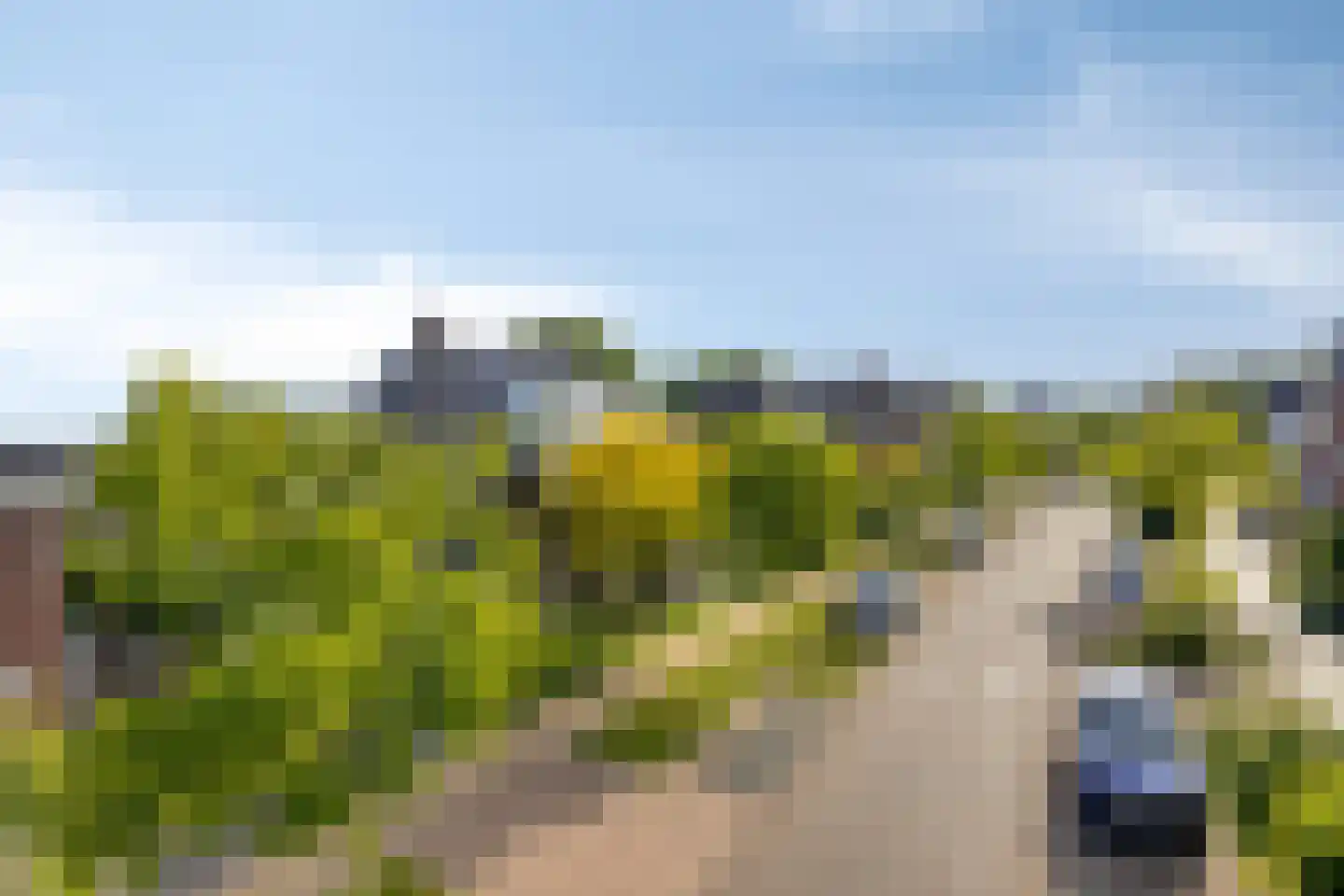 Fliere 21 Gemert thumbnail 45