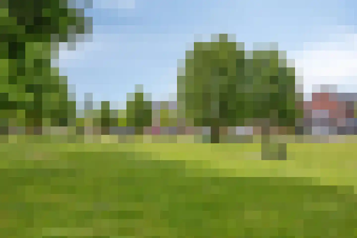 Fliere 21 Gemert thumbnail 46