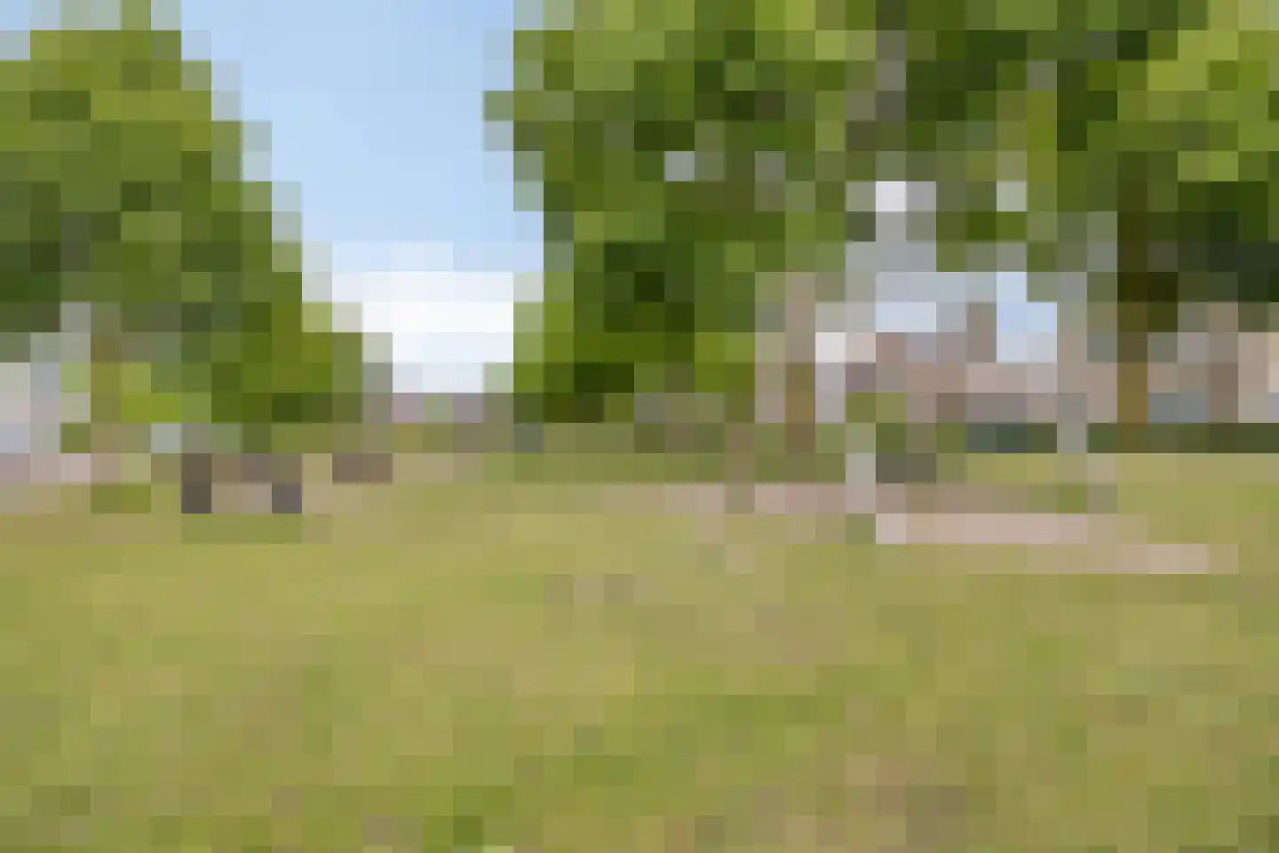 Fliere 21 Gemert thumbnail 47