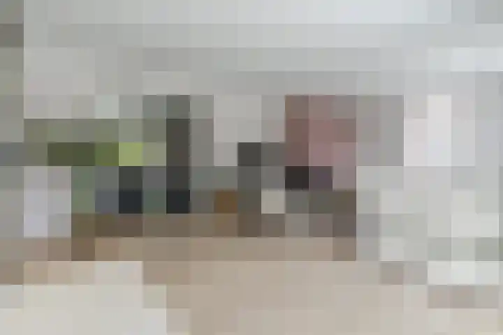 Fliere 33 Gemert thumbnail 13