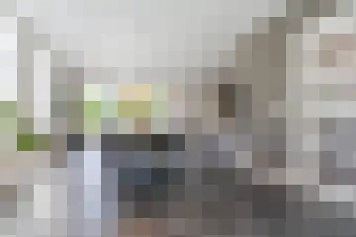 Fliere 33 Gemert thumbnail 14