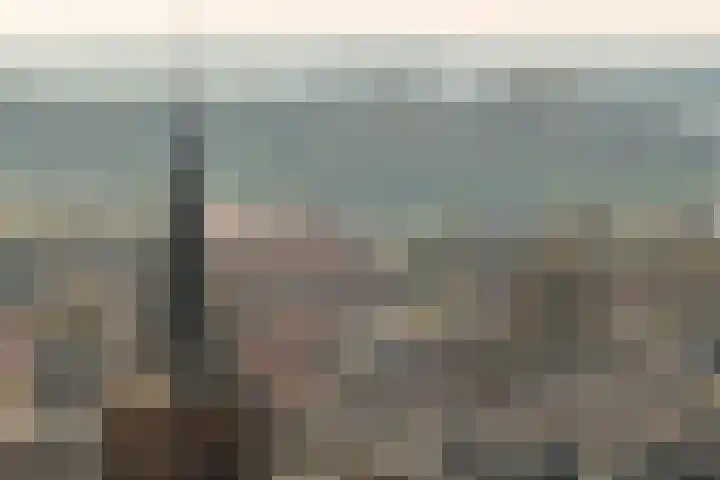 Fliere 33 Gemert thumbnail 16