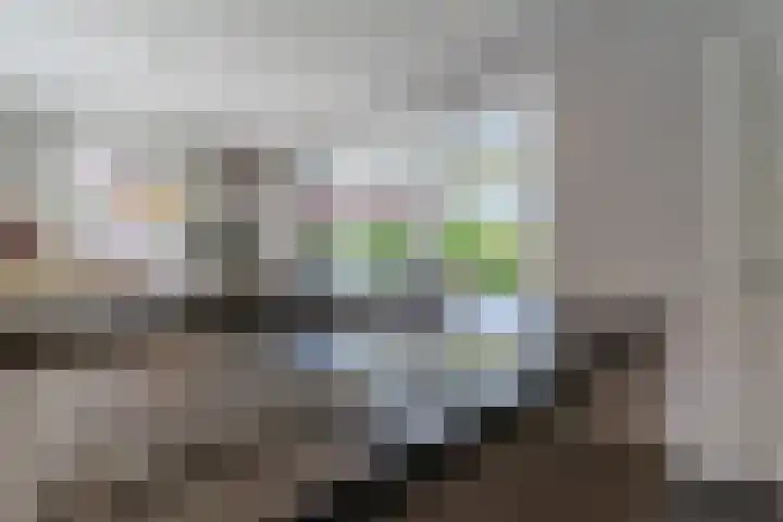 Fliere 33 Gemert thumbnail 20