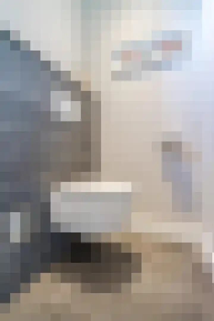 Fliere 33 Gemert thumbnail 23