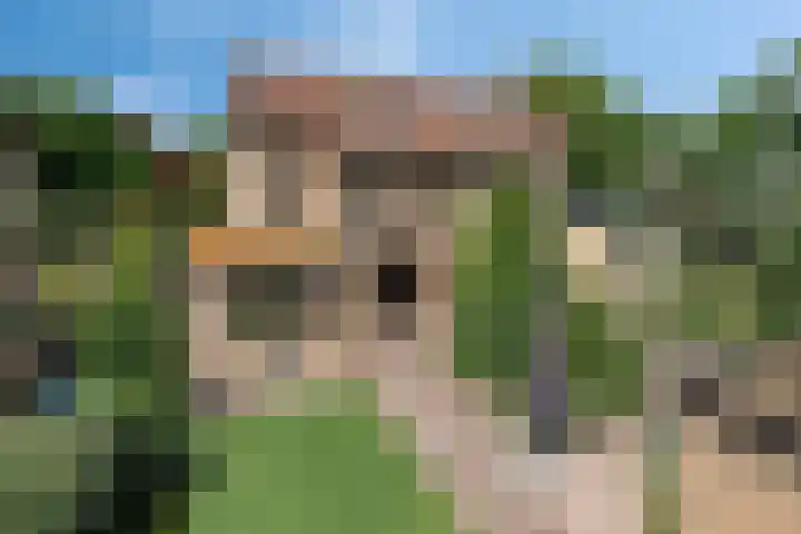 Fliere 33 Gemert thumbnail 24