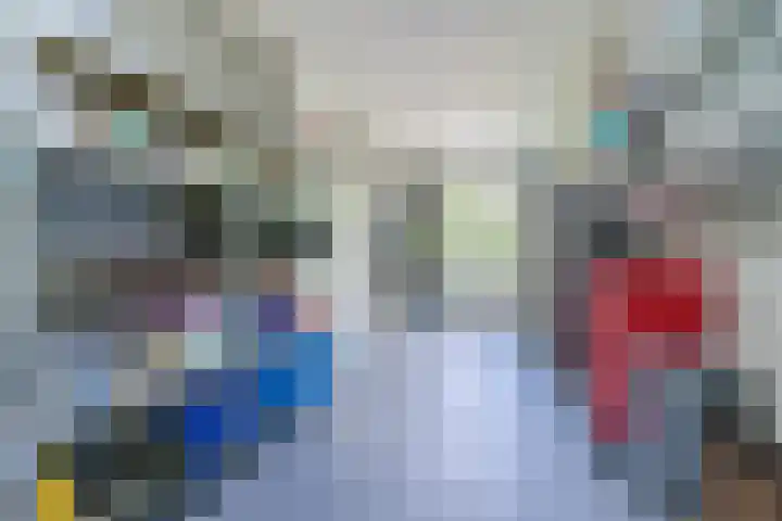 Fliere 33 Gemert thumbnail 25