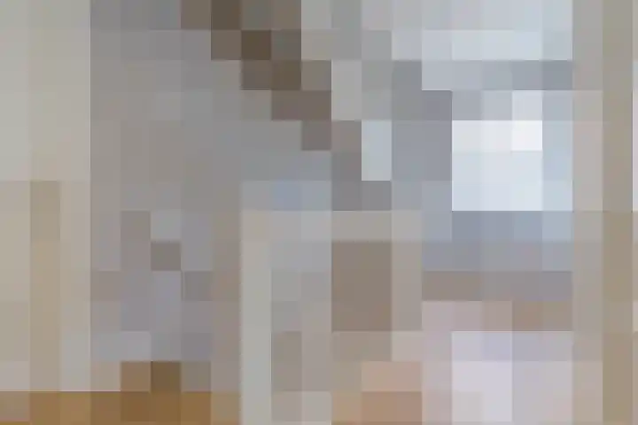 Fliere 33 Gemert thumbnail 27