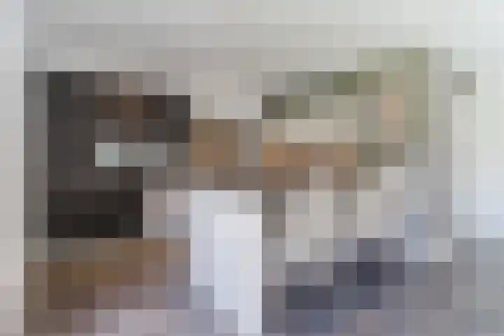 Fliere 33 Gemert thumbnail 4