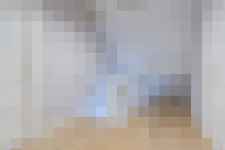 Fliere 33 Gemert thumbnail 42