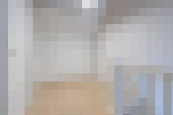 Fliere 33 Gemert thumbnail 43