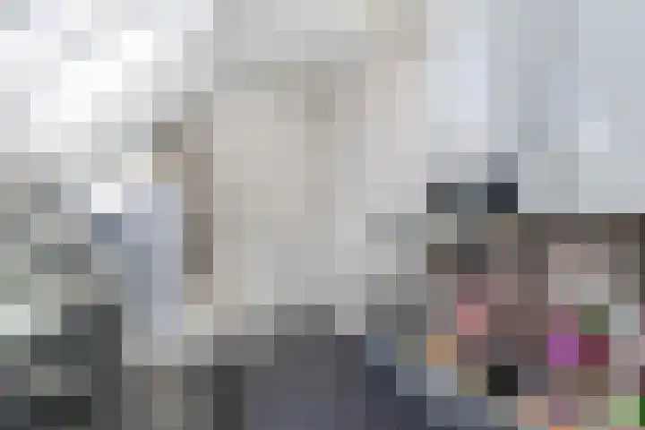 Fliere 33 Gemert thumbnail 46