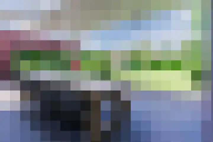 Fliere 33 Gemert thumbnail 49