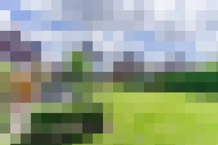 Fliere 33 Gemert thumbnail 55