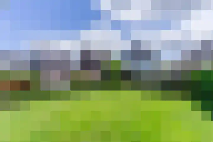 Fliere 33 Gemert thumbnail 56