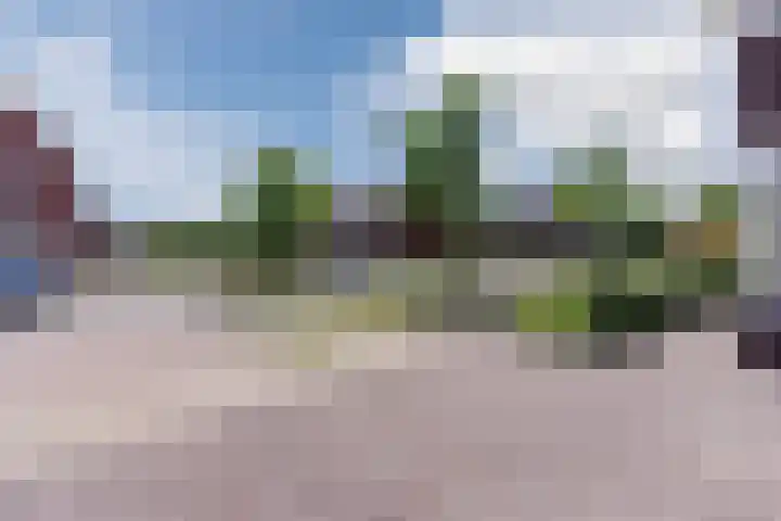 Fliere 33 Gemert thumbnail 61