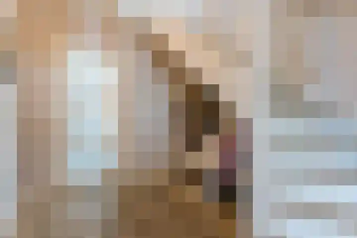 Fliere 33 Gemert thumbnail 8