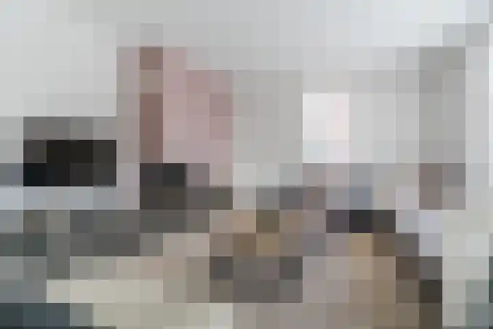 Fliere 33 Gemert thumbnail 9