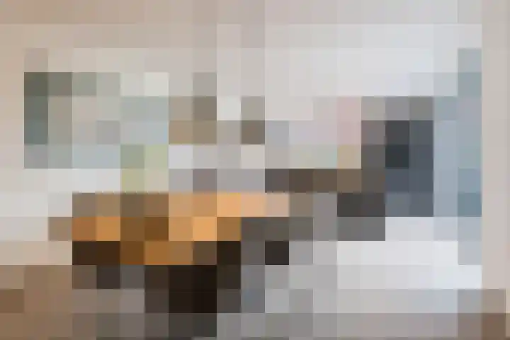 Fliere 54 Gemert thumbnail 11