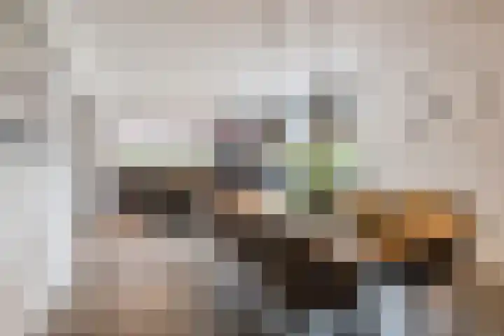 Fliere 54 Gemert thumbnail 12