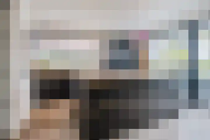 Fliere 54 Gemert thumbnail 13