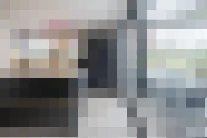 Fliere 54 Gemert thumbnail 14