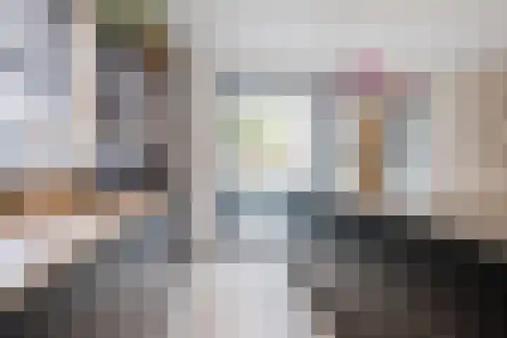 Fliere 54 Gemert thumbnail 15