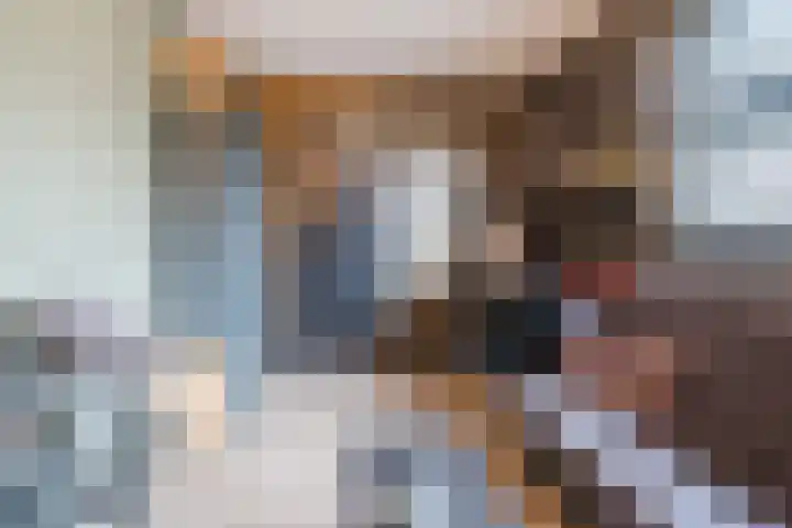 Fliere 54 Gemert thumbnail 21