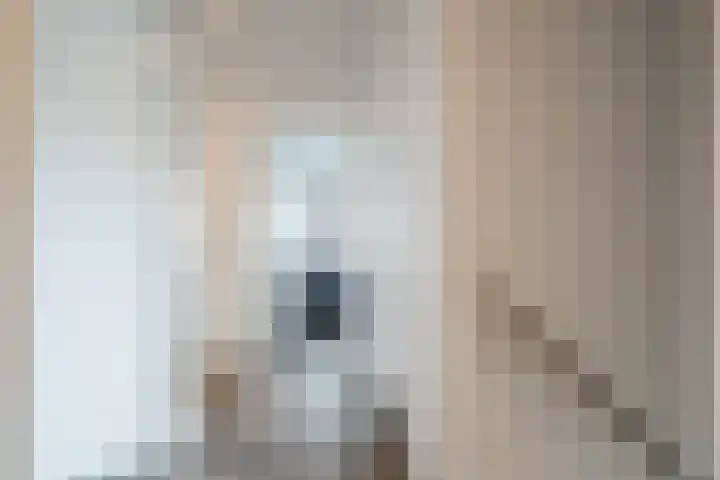 Fliere 54 Gemert thumbnail 22